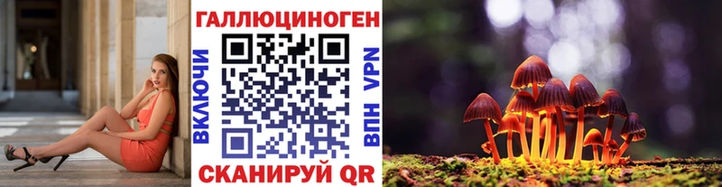 MEGA   как найти   Лангепас  Псилоцибиновые грибы GOLDEN TEACHER 