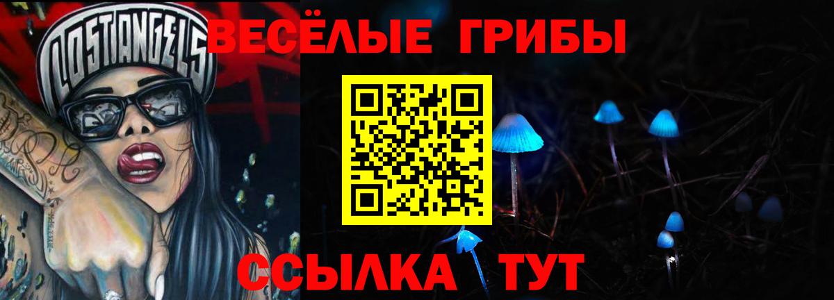 Псилоцибиновые грибы Psilocybine cubensis Лангепас